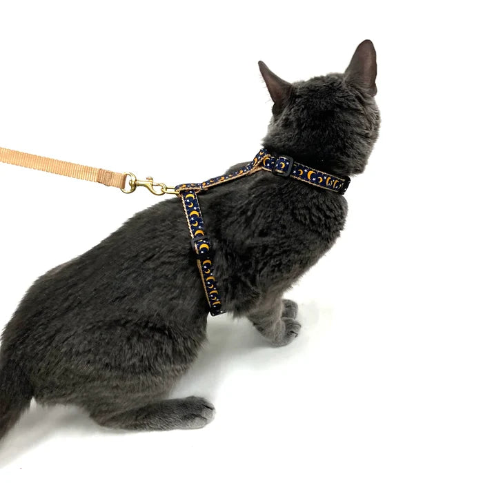 STELLA-LUNA-CAT-HARNESS