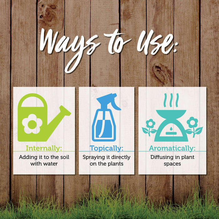 Gardening with Essential Oils Facebook Class at Your Oil Tools