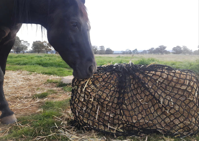 Gutzbusta Large Knotless Hay Net