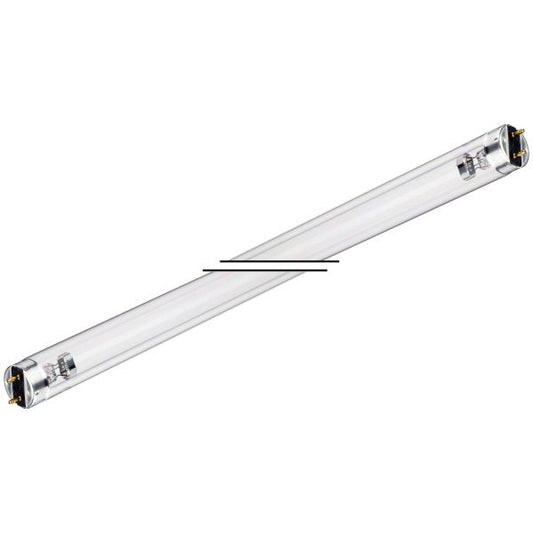 16W Phillips Lamps