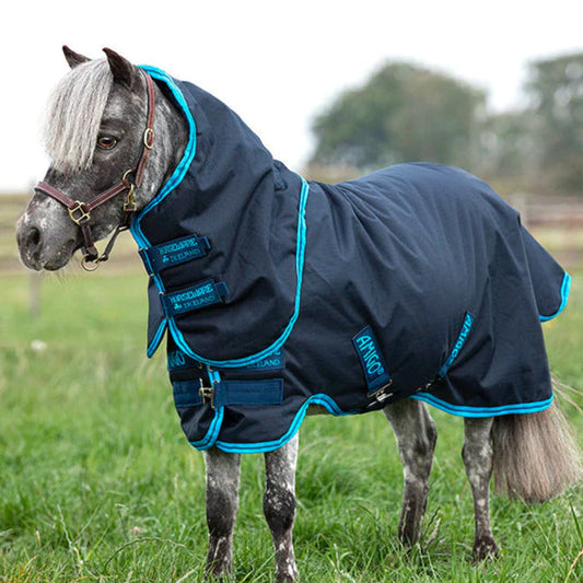 Navy blue rug with aqua binding on a little grey pony