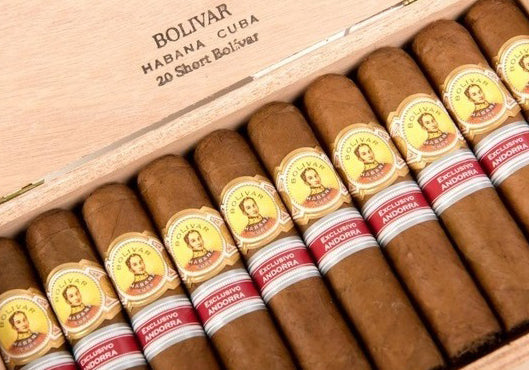 Bolivar Short Bolivar Cigar for sale - EGM Cigars