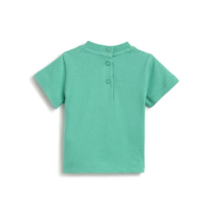 Boys Graphic Printed Short Sleeve T-Shirt Green