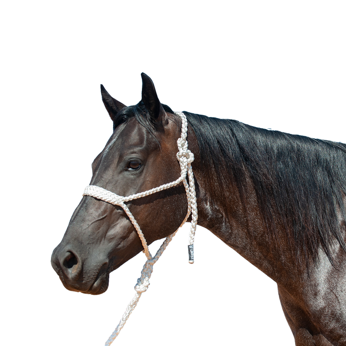 Cashel |  Flat Braid Halter w/ 9' Lead