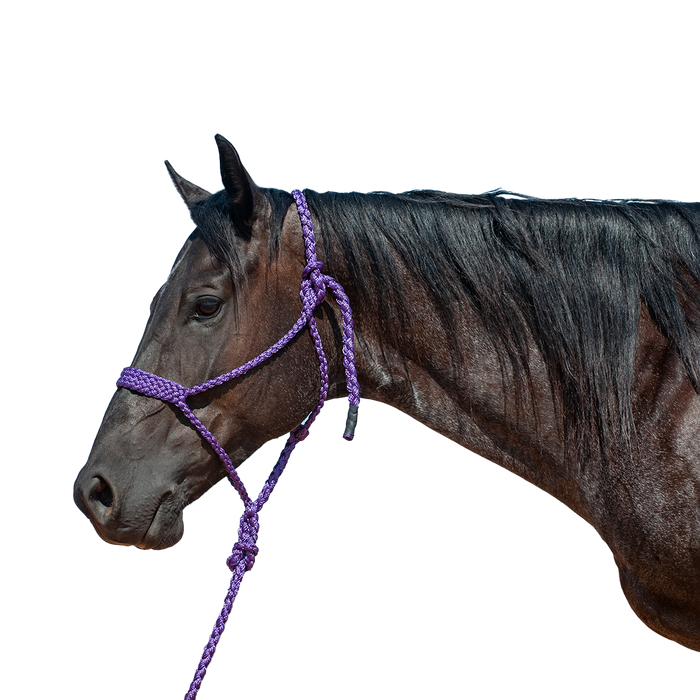 Cashel |  Flat Braid Halter w/ 9' Lead