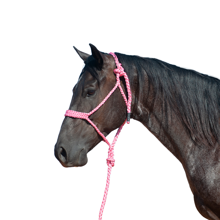 Cashel |  Flat Braid Halter w/ 9' Lead