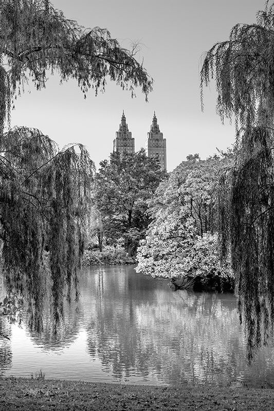Photography | Central Park In Monochrome | Nick Psomiadis
