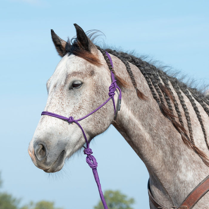 Classic Equine | Rope Halter with 9' Lead