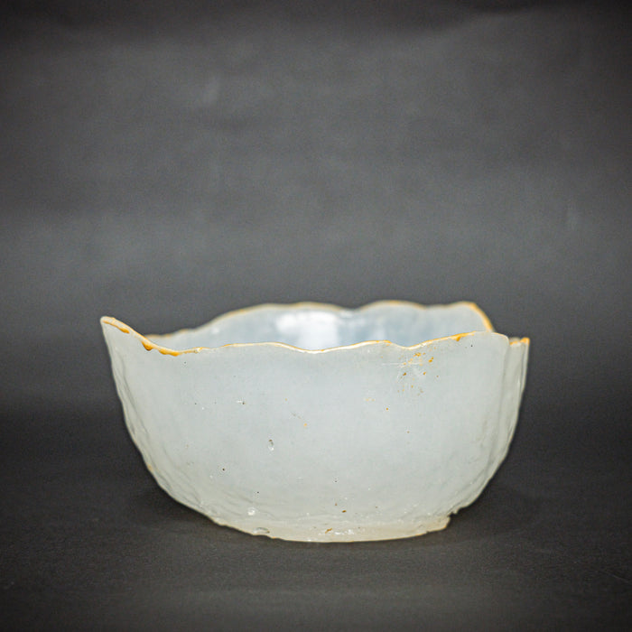 Dhan Laxmi Money Bowl Combo