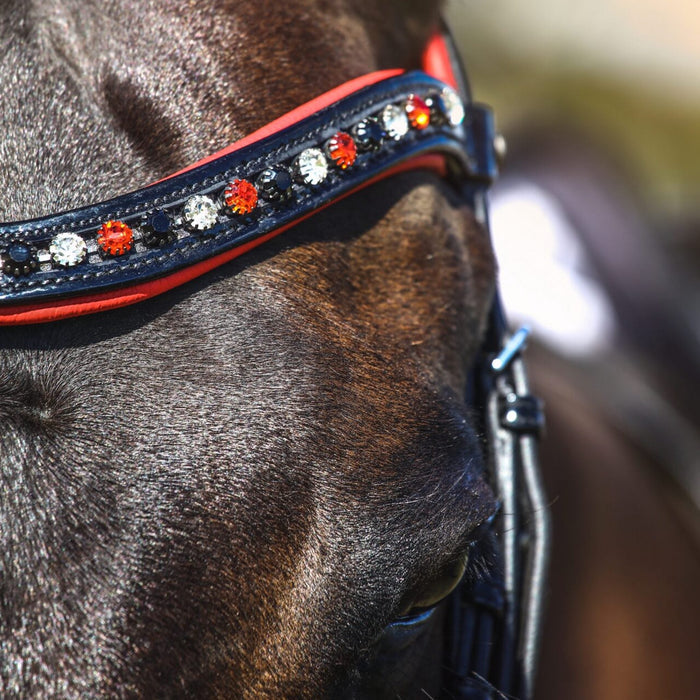 Closeup of browband with black, clear and red crystals.