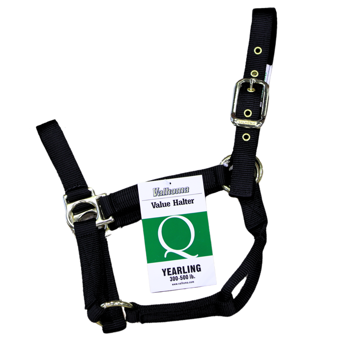 Economy Halter | Yearling