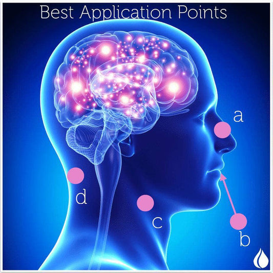 Essential Oils for Brain Essentials Facebook Class at Your Oil Tools