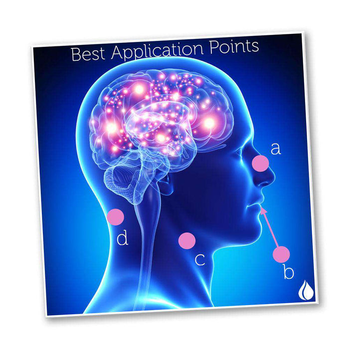 Essential Oils for Brain Essentials Facebook Class at Your Oil Tools