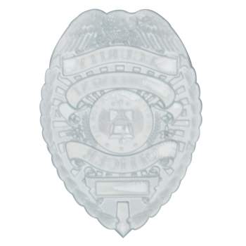 Flexible Security Badge