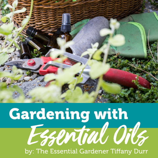 Gardening with Essential Oils Facebook Class at Your Oil Tools