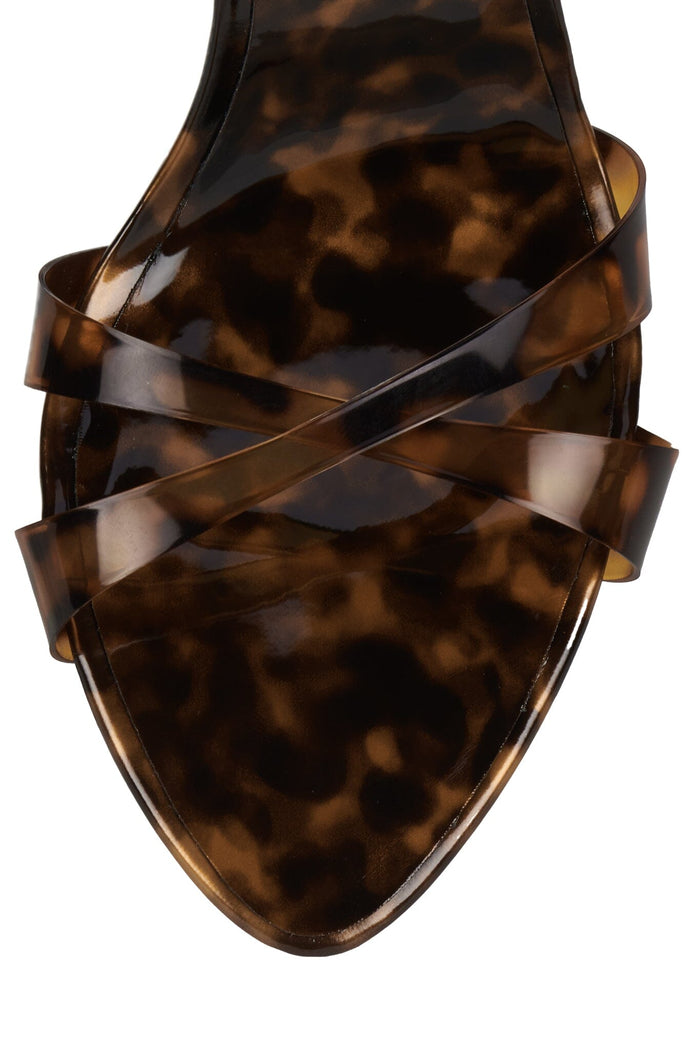 GRACIELA Tortoise 4