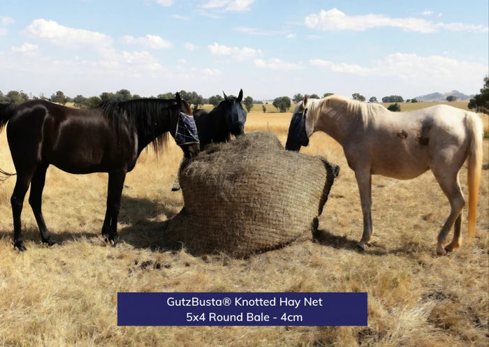 Gutzbusta Knotted Round Bale Net