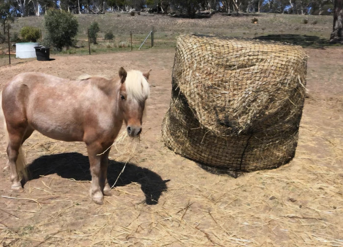 Gutzbusta Knotted Round Bale Net
