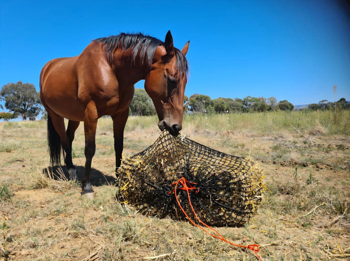 Gutzbusta Large Knotless Hay Net