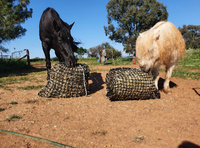 Gutzbusta Medium Knotless Hay Net