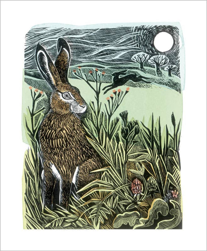 Hidden Hares Card by Angela Harding | Art Angels