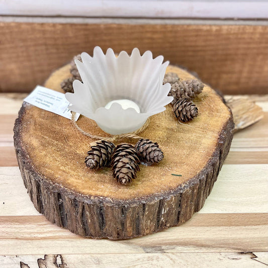Duda Large Flared Wood Candle Holder