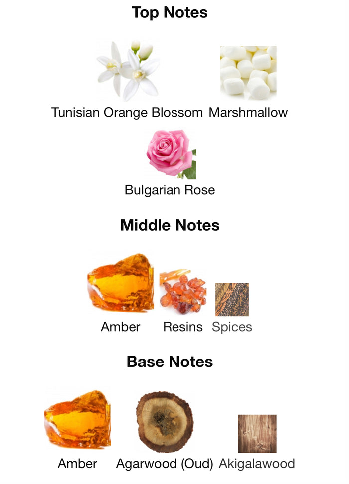 Inspired by Love Don’t Be Shy Amber and Oud Special Blend 2023 Eau De Parfum