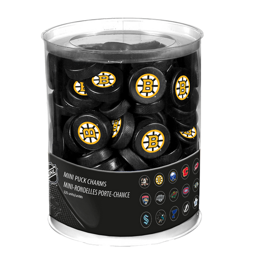 Mini Puck - Boston 8 Spoked B