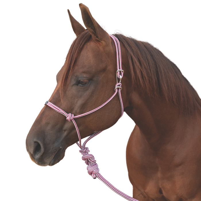 Professional's Choice | Easy-On Rope Halter w/ Lead
