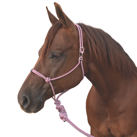 Professional's Choice | Easy-On Rope Halter w/ Lead