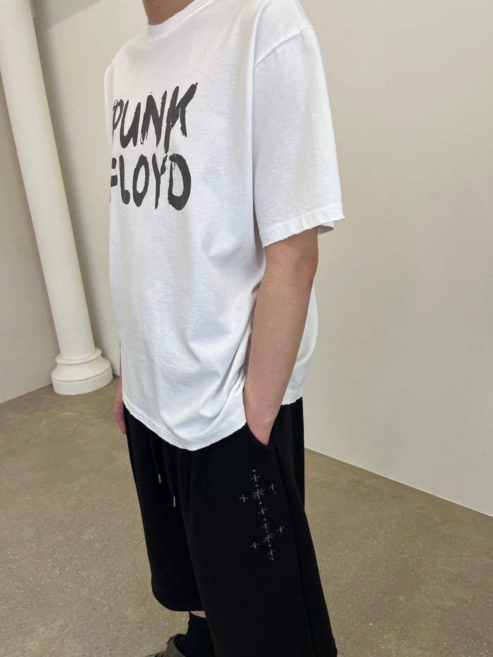 Punk Floyd T-Shirt