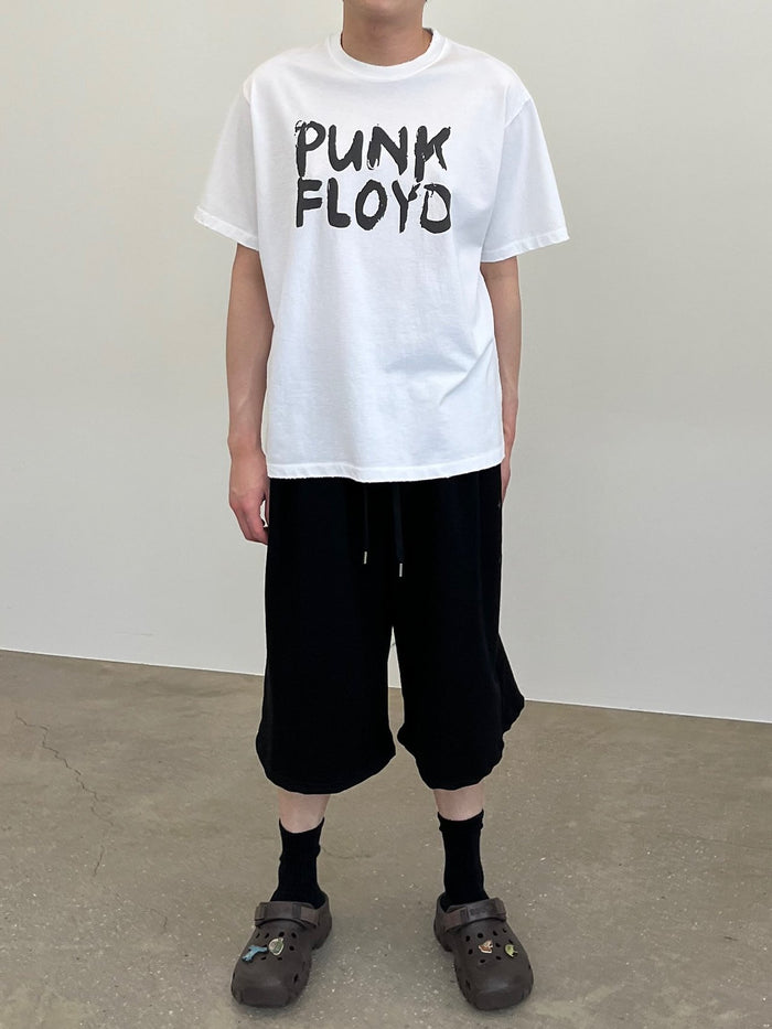 Punk Floyd T-Shirt