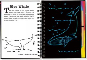 Scratch & Sketch Under the Sea