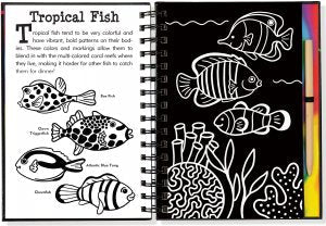 Scratch & Sketch Under the Sea