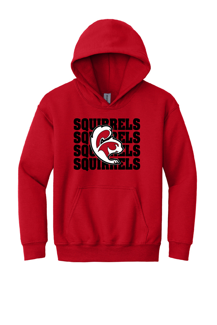 SQUIRRELS - Youth Sweatshirts (Crewneck & Hooded)~