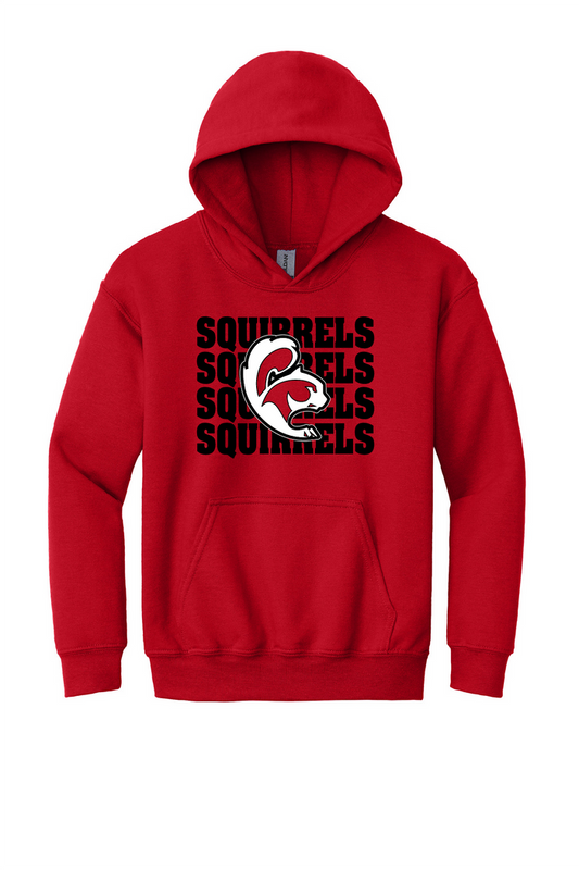 SQUIRRELS - Youth Sweatshirts (Crewneck & Hooded)~