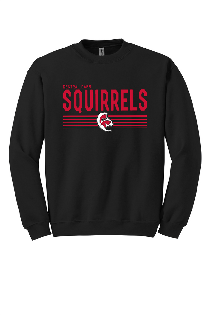 SQUIRRELS - Youth Sweatshirts (Crewneck & Hooded)~