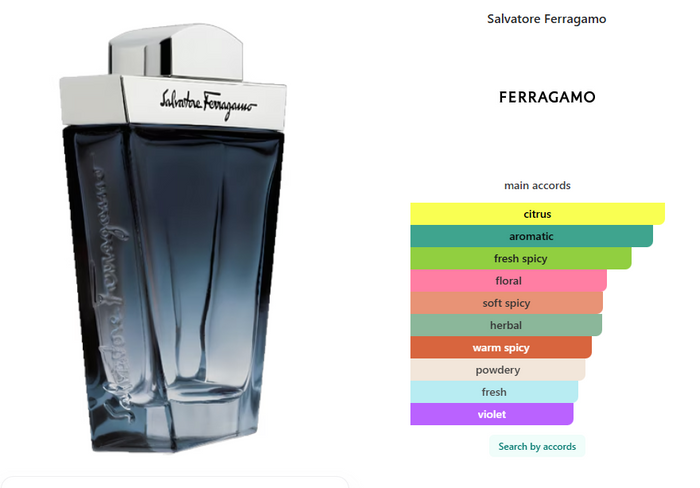 Subtil Ferragamo Decants